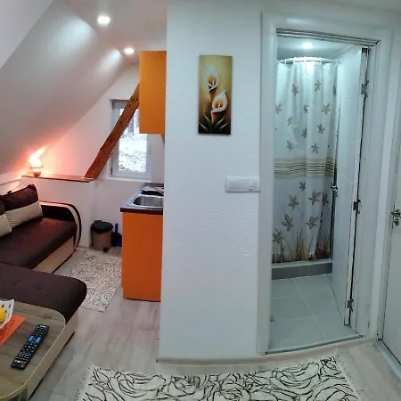 Apartment Zlatarski Dar *